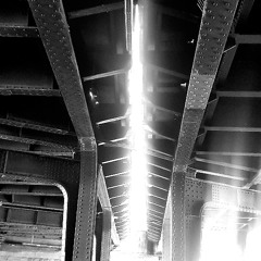 Through light we live