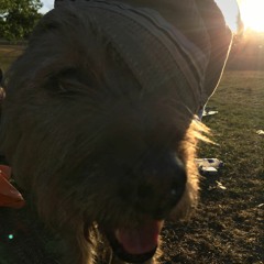 88. Sunny the Tory Hating Londoner
