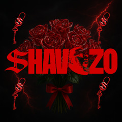 Posso Até Não Te Dar Flores (Shavozo x Dorom VIP Remix)