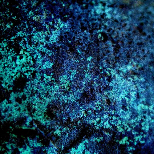 Z² & Mitch - NIHILIZM