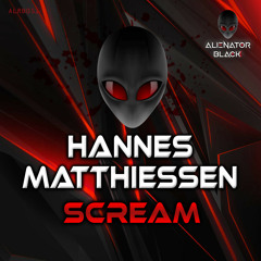 Hannes Matthiessen - Scream if you wanna go faster (Original Mix)