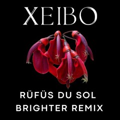 Rufus Du Sol- Brighter- (Xeibo Remix)