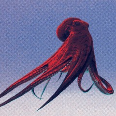 MaastrichtResearch_'IdleAnimation'_A4_'Lumenwood_Kin' CLIP