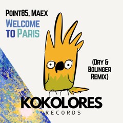 Maex, Point85 - Welcome To Paris (Dry & Bolinger Remix)