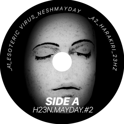 ESOTERIC VIRUS (H23N.MAYDAY.#02)