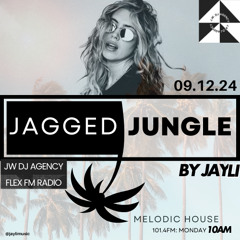 9.12.24 - Jagged Jungle with jayli x Flex FM & JW agency