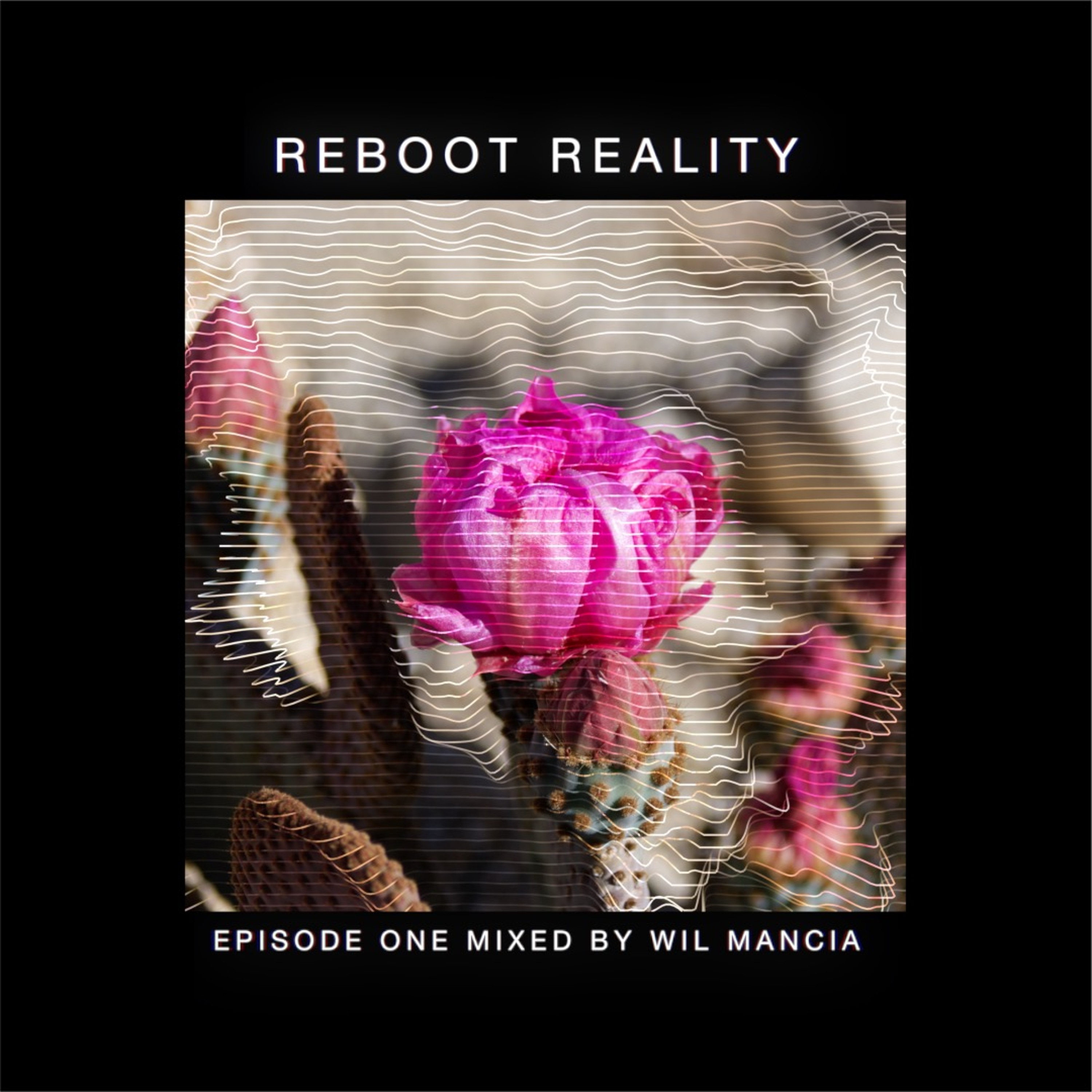 Reboot Reality