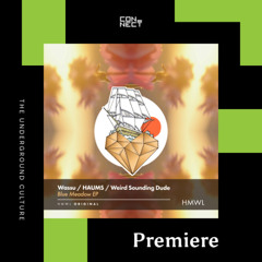PREMIERE: Wassu & HAUMS - Blue Meadow (Night Mix) [House Music With Love]