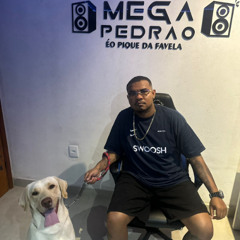 MTG - ÉO PIQUE DA FAVELA - MC MAGRINHO - MC GW