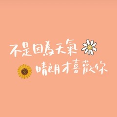不是因為天氣晴朗才喜歡你 (cover by Karyn)