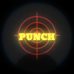 PUNCH FT MIRAC305