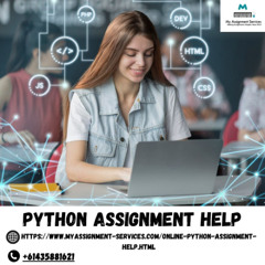 Expert Python Assignment Help – Get High-Quality Solutions Now!