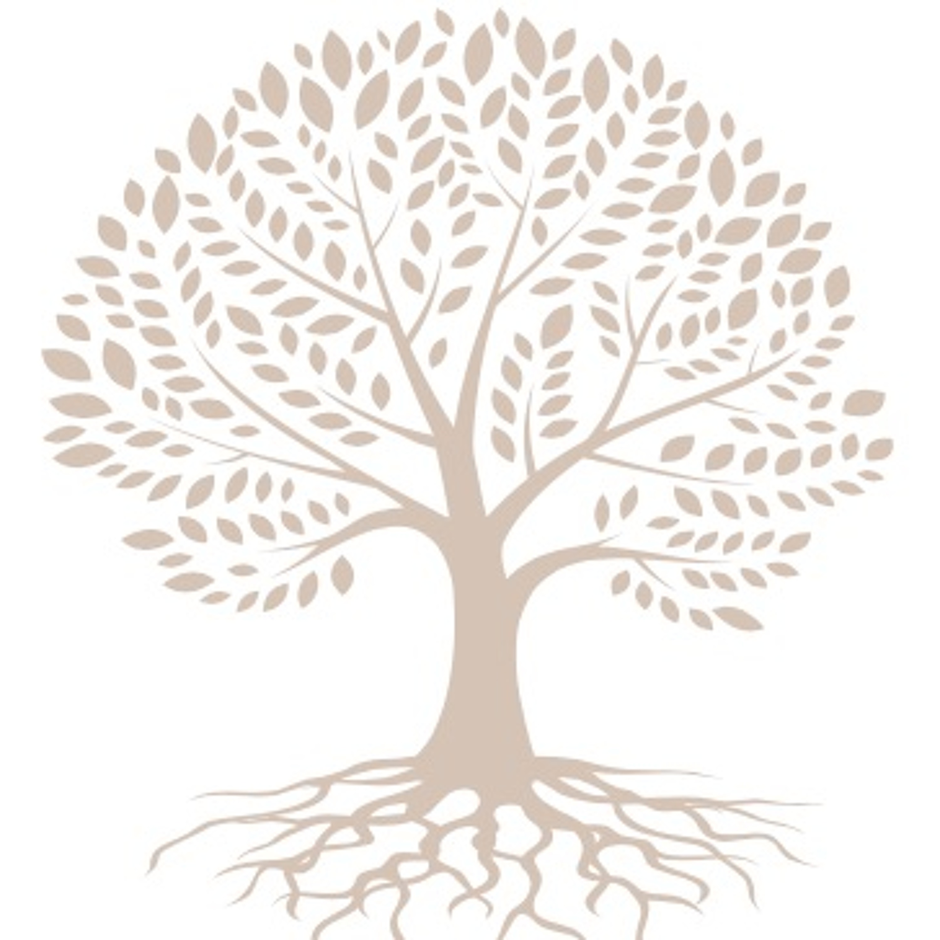 Seelentraum | Meditation | Coaching