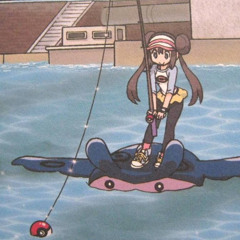 Pokémon Black and White - Battle! Wild Pokémon