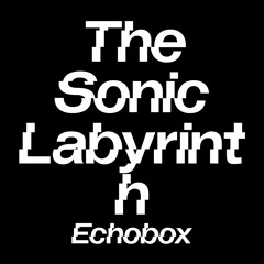 The Sonic Labyrinth