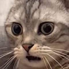 Dj Afterdyl - Make it Crazy Master