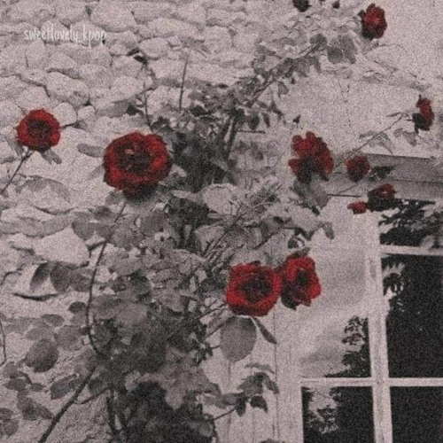 [KUBI SHUNE + KAI KIM] Ashes to Ashes [WIP]