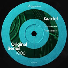 Premiere: Avidel - Bucle Inside [MICROS006]