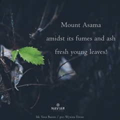 haiku #579: Mount Asama / amidst its fumes and ash / fresh young leaves!