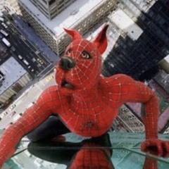 i sorta have my mojo back? (not rlly)