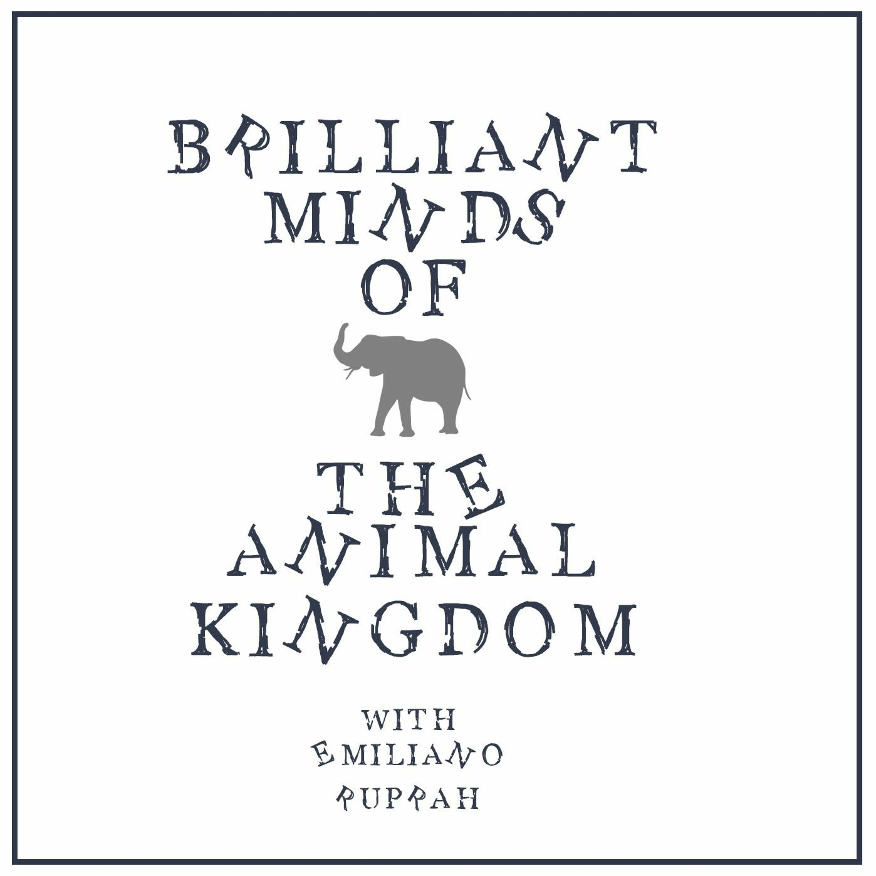 Brilliant Minds of the Animal Kingdom