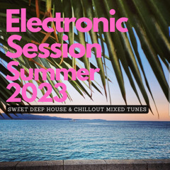 Electronic Session Summer 2023