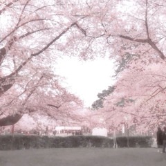 𝐮𝐡𝐡.  ₊˚⊹♡ ( sped up ) - jnhygs ( prod. kyszenn )