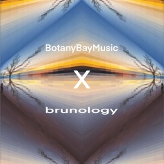 NoWayOut - DarkSide - BotanyBayMusic (brunology Remix)