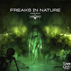 Frenetic Frequency - Kaxinawa Nightmare *OUT NOW @Santo Grau Records