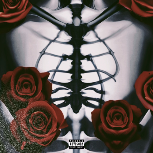 s k e l e t o n s - prod scandi x crater