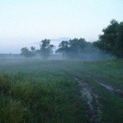 serenity