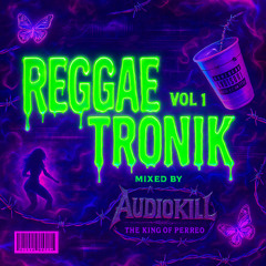 REGGAETRONIK VOL.1 - DJ AUDIOKILL