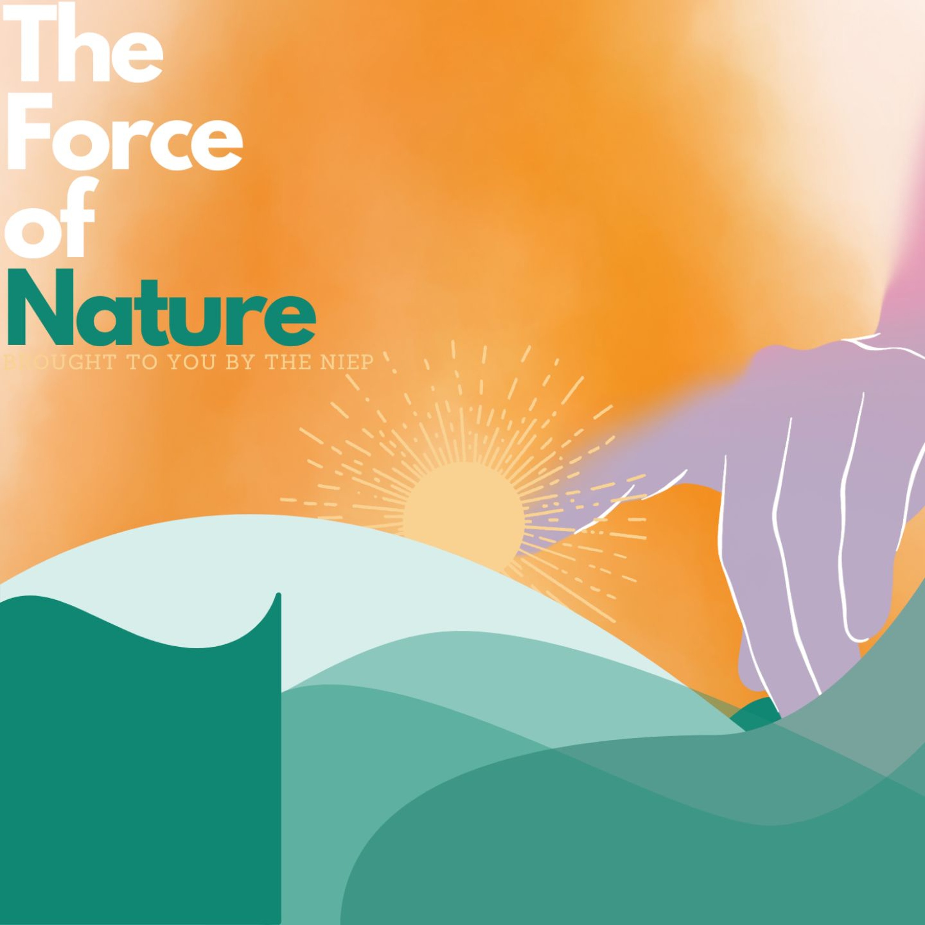 Force of Nature Podcast - Food Episode episode artwork