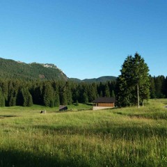 Risnjak