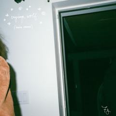 crying wolf (voice memo)