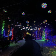 Bring You Home For Christmas