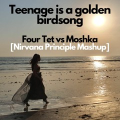 Four Tet Vs Moshka - Teenage Is A Golden Birdsong [Nirvana Principle mashup] -