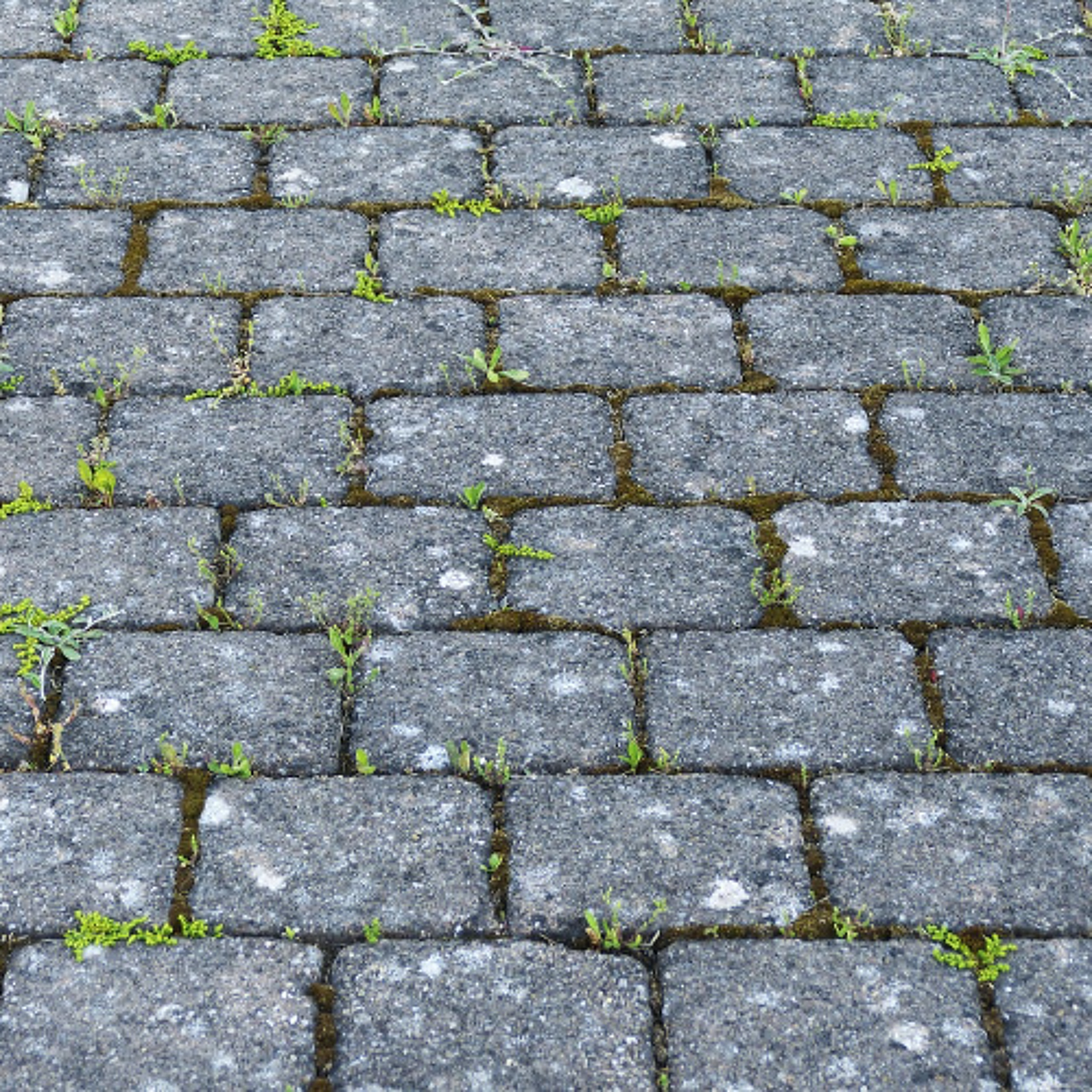 Add a bit of sparkle to your patio