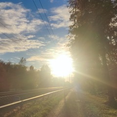 Y Disco  Popular Frank..