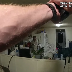 put the pot down or get shot in the face prod bloom & lune