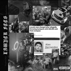 Lawyer Fees (audio version)