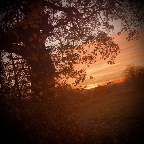 @k1ve1 na pewno @1plugsoon @2fayth