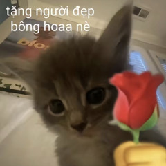 Khi Yêu Nào Ai Đâu Muốn (Remix)