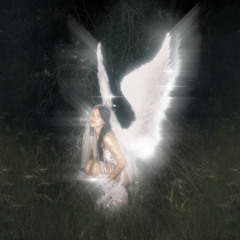 Shower For Crazy Bitches