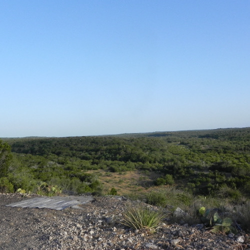 Come Out To The Ranch