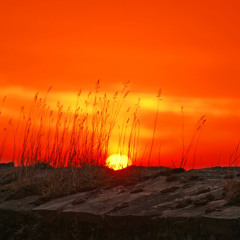 A New Sunrise