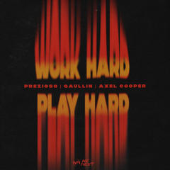 Work Hard Play Hard