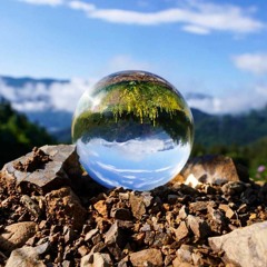 Microcosm