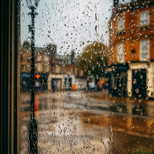 Where Could My Baby Be