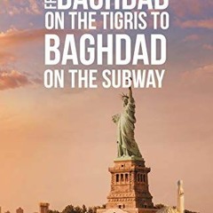 GET EBOOK 📪 From Baghdad on the Tigris to Baghdad on the Subway by  Walid  A. Hindo